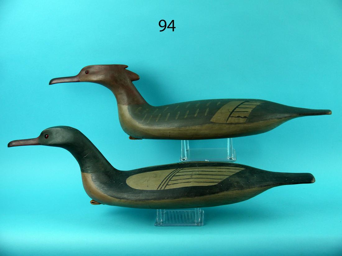AMERICAN MERGANSER PAIR, B. BIDDLE (1 of 4)