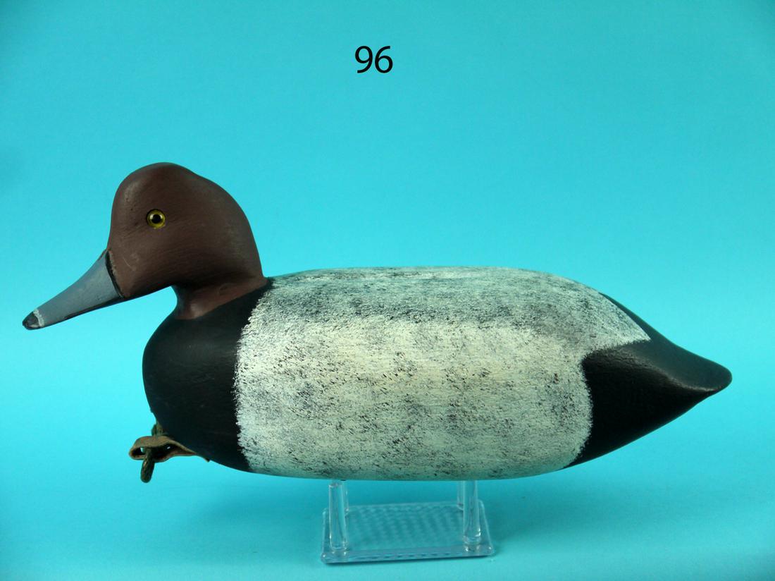 RED HEAD DRAKE, BARNEGAT BAY (1 of 4)