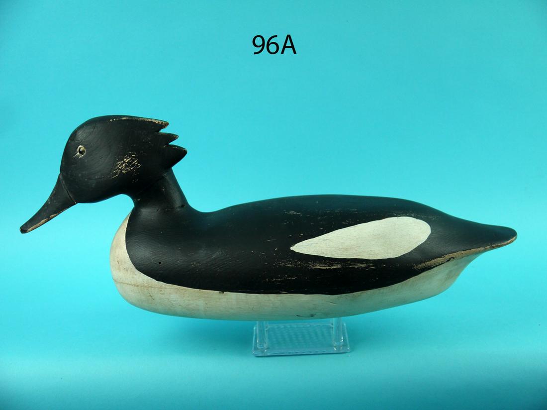 MERGANSER HEN,  BARNEGAT BAY (1 of 4)