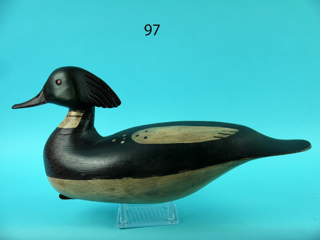 RED-BREAST MERGANSER DRAKE, NEW JERSEY (1 of 4)