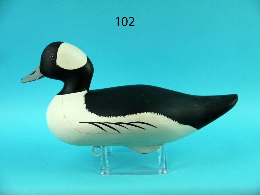 BUFFLEHEAD DRAKE, G. WAGONER (1 of 4)
