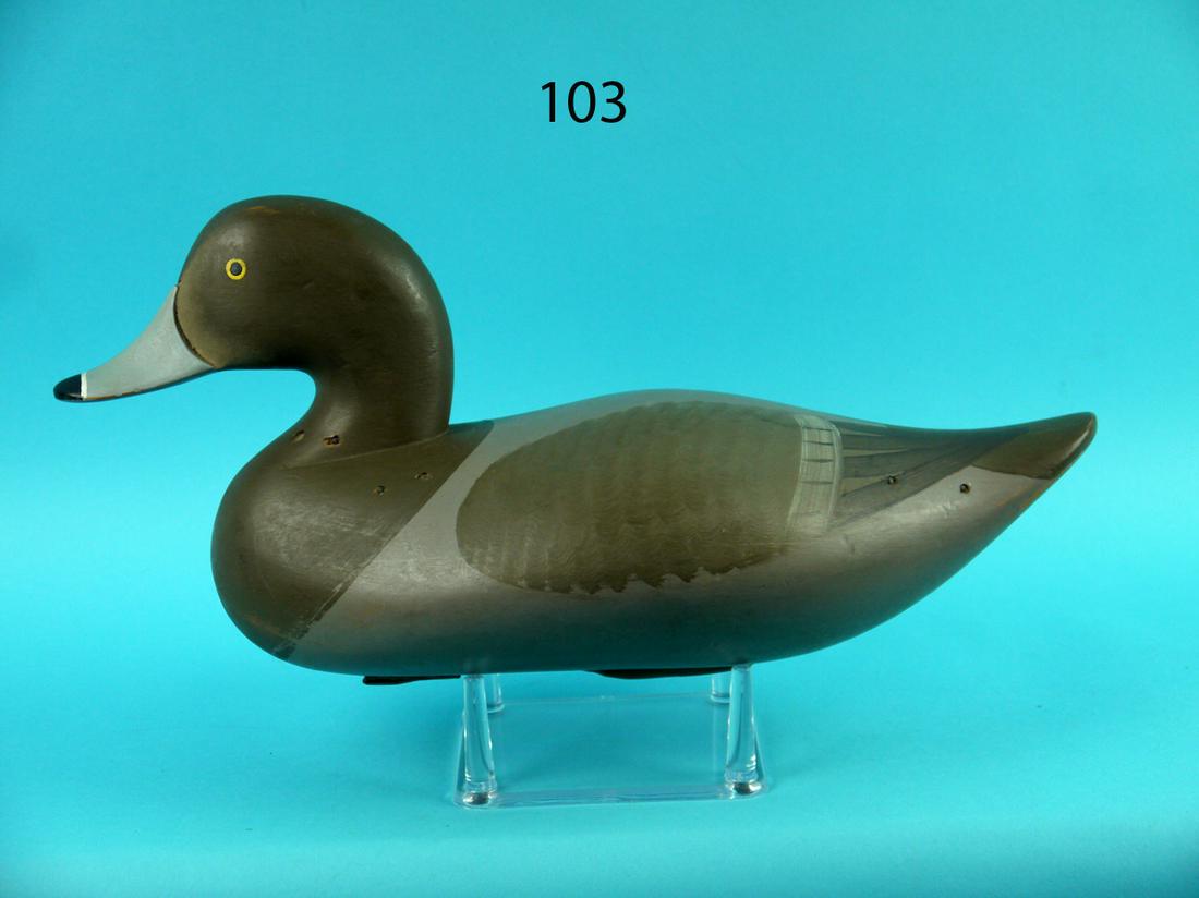 REDHEAD HEN, HAVRE DE GRACE, MD (1 of 4)