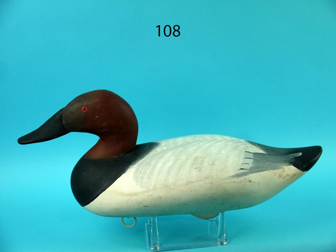CANVASBACK DRAKE, UPPER BAY (1 of 4)