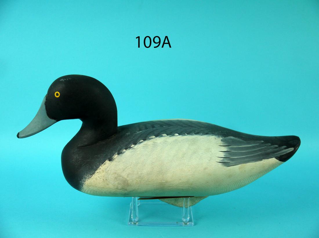 BLUEBILL DRAKE, H. JOBES (1 of 4)