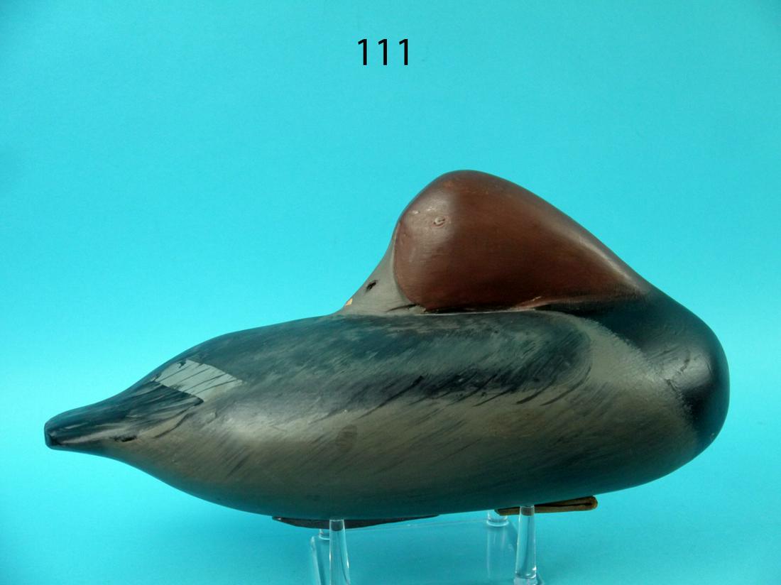 PREENING RED HEAD DRAKE, R. LITZENBERG (1 of 4)