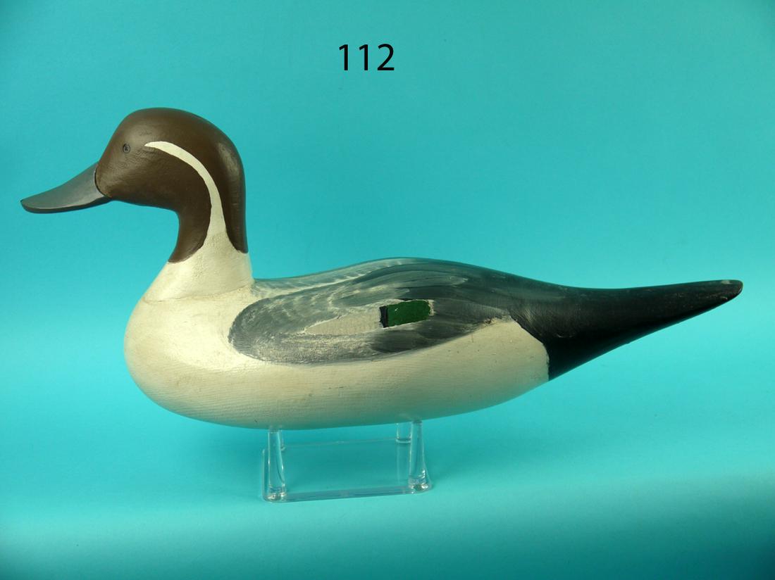 PINTAIL DRAKE, P. GIBSON (1 of 4)