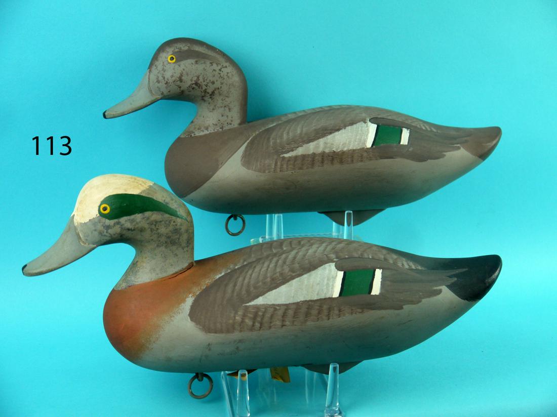WIDGEON PAIR, UPPER BAY (1 of 4)
