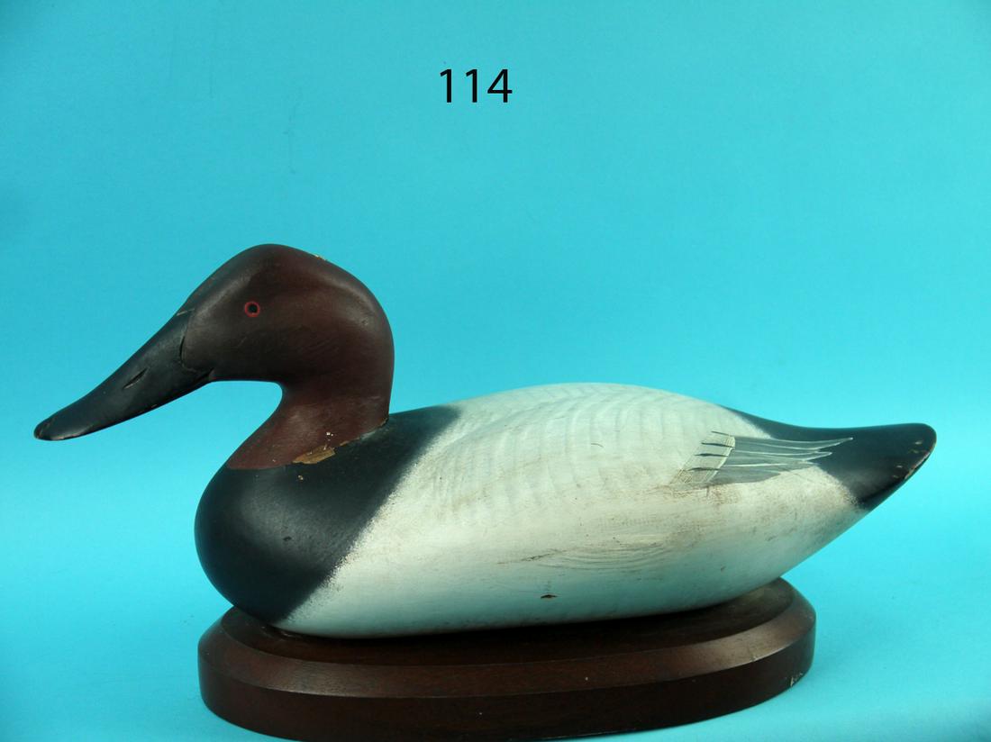 CANVASBACK DRAKE, R.M. MITCHELL (1 of 3)