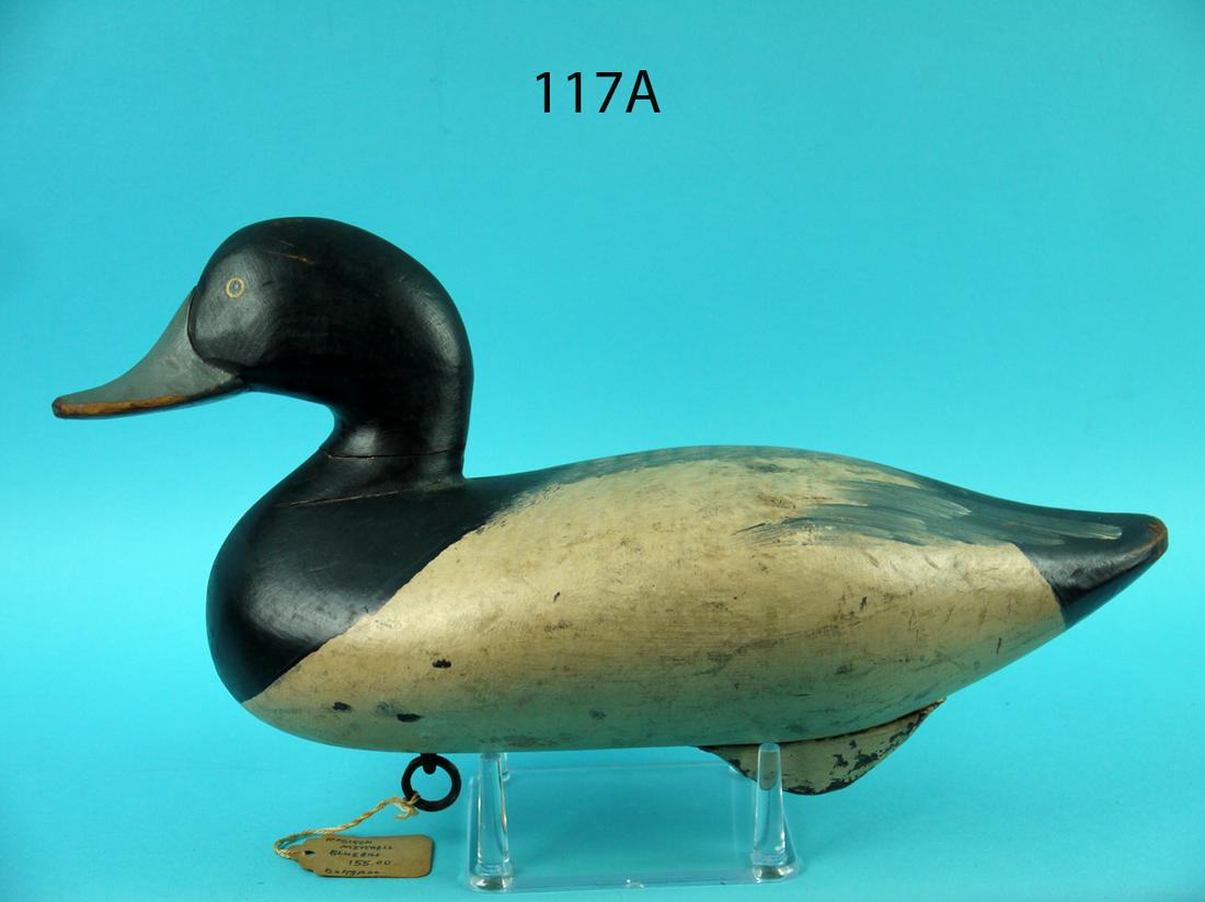 BLUEBILL DRAKE, R.M. MITCHELL (1 of 4)