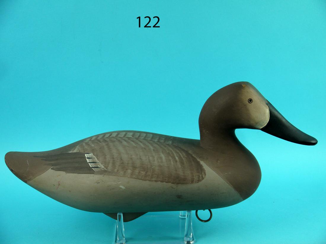 CANVASBACK HEN, R.M. MITCHELL (1 of 4)