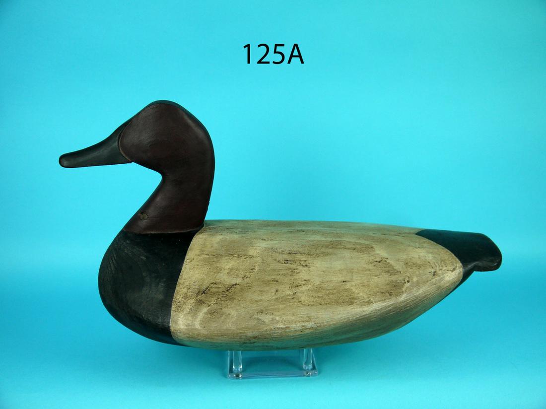 CANVASBACK DRAKE, C. SAWYER (1 of 4)