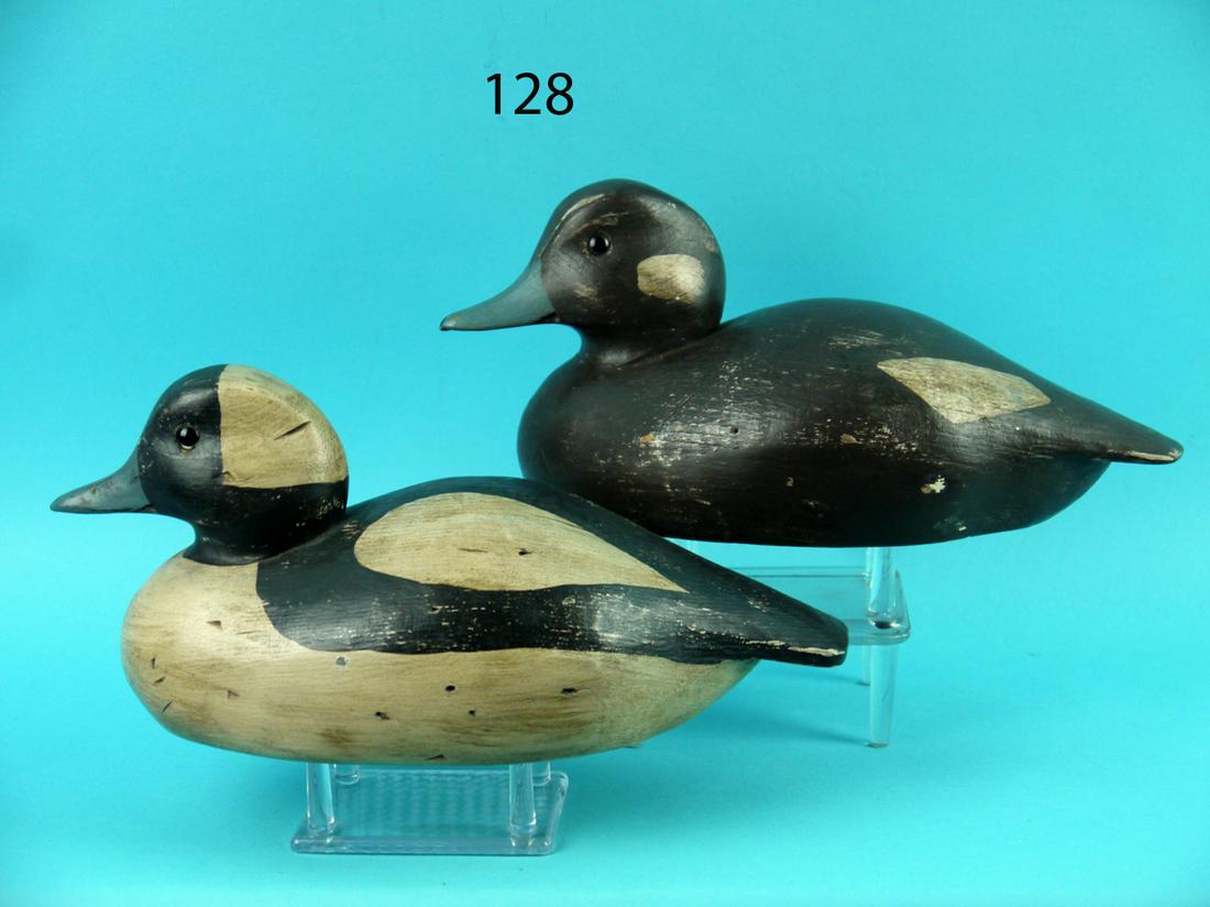 BUFFLEHEAD PAIR, CURRITUCK, VA (1 of 4)