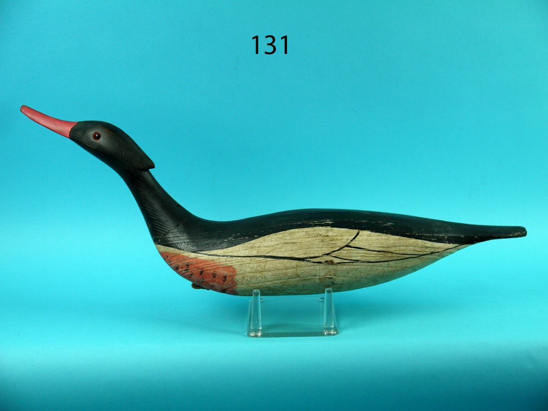 RED-BREAST MERGANSER, G. CROSSMAN (1 of 4)