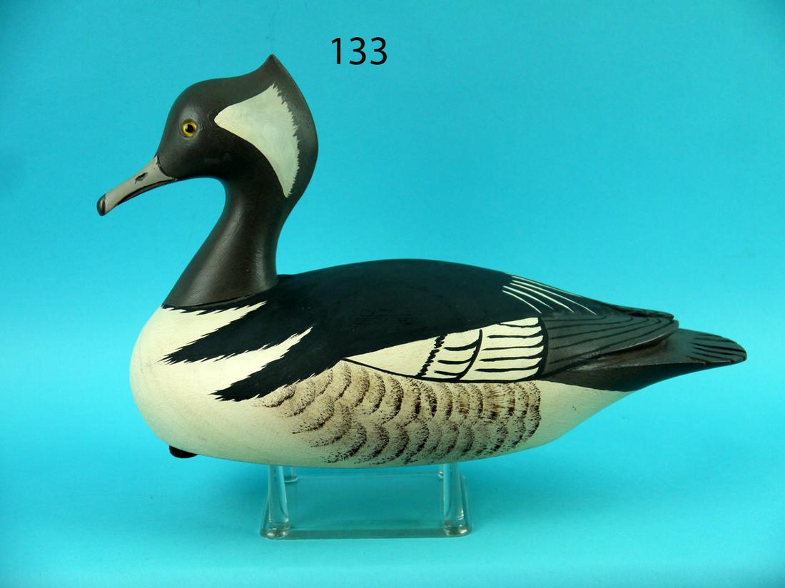 HOODED MERGANSER DRAKE, B. BRUFFEE (1 of 3)