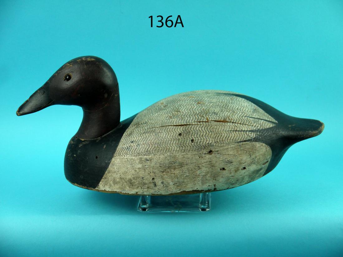 CANVASBACK DRAKE, K. HARRIS (1 of 4)