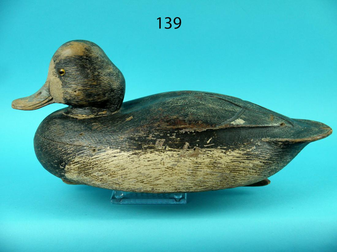 BLUEBILL HEN, B. SCHMIDT ATTRIB. (1 of 4)