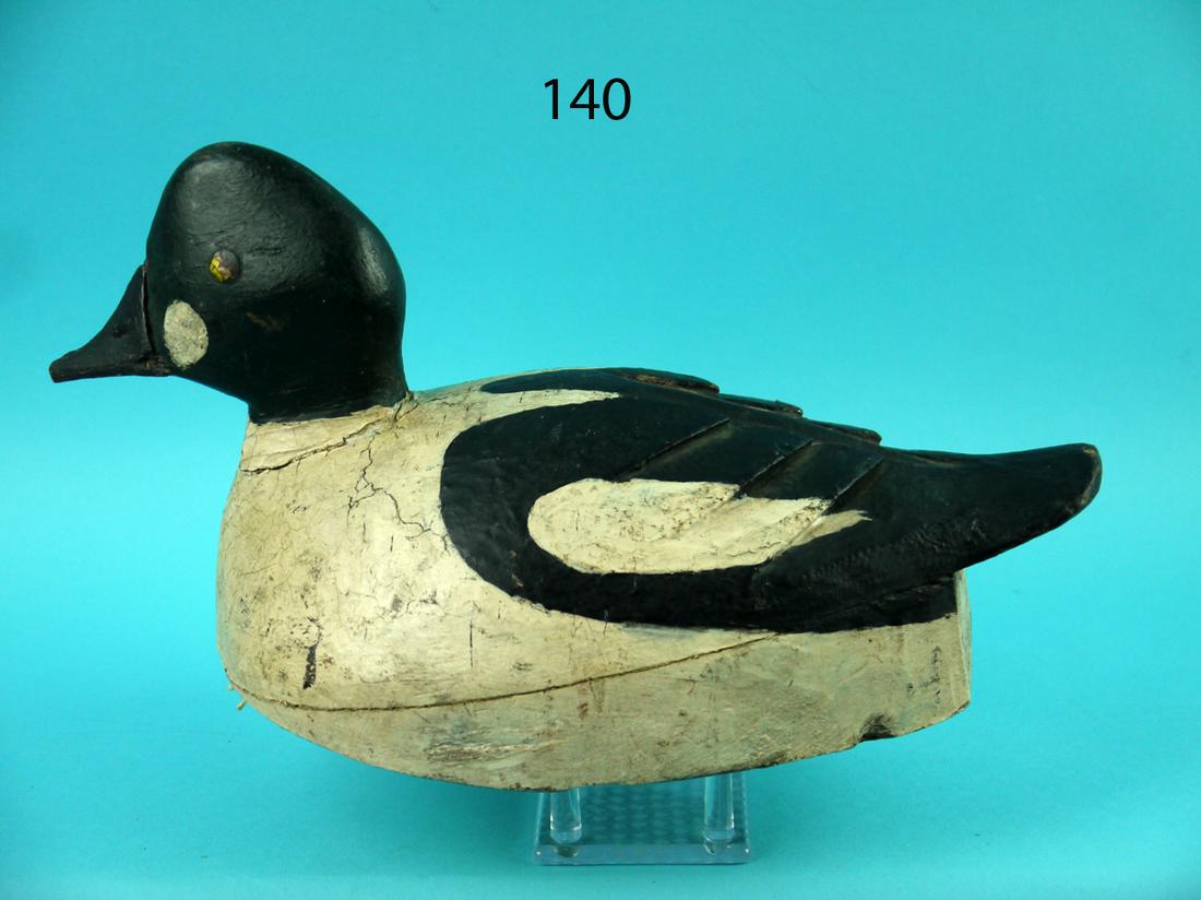 GOLDENEYE DRAKE, CANADA (1 of 4)