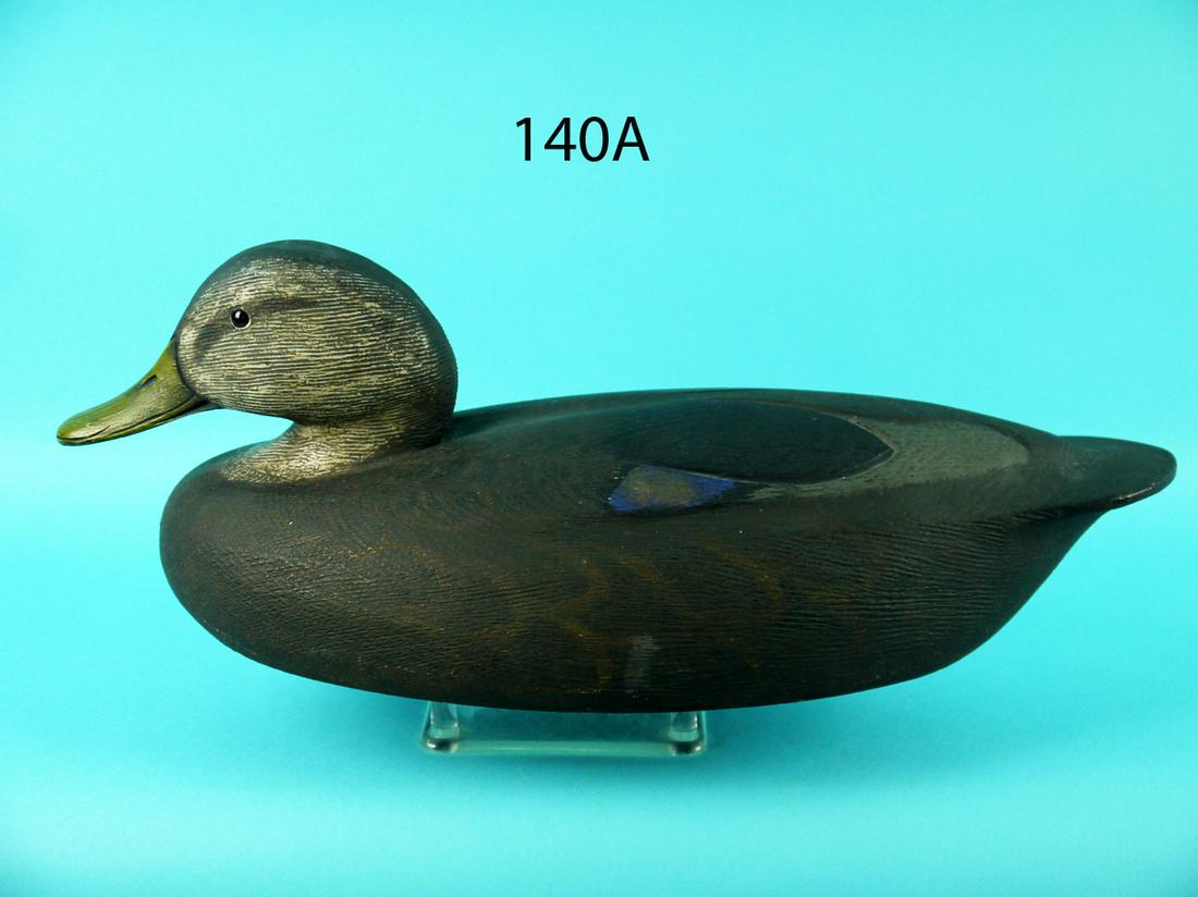 BLACK DUCK, K. ANGER (1 of 4)