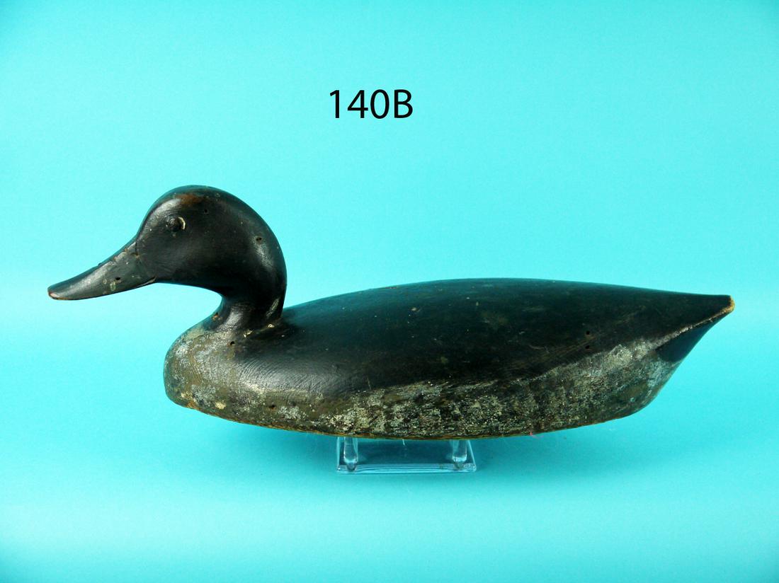 PINTAIL DRAKE, C. REEVES (1 of 4)