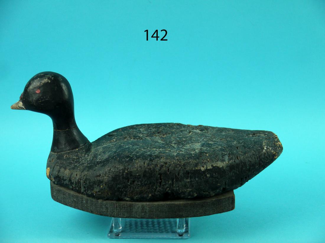 CORK COOT, LONG ISLAND (1 of 4)