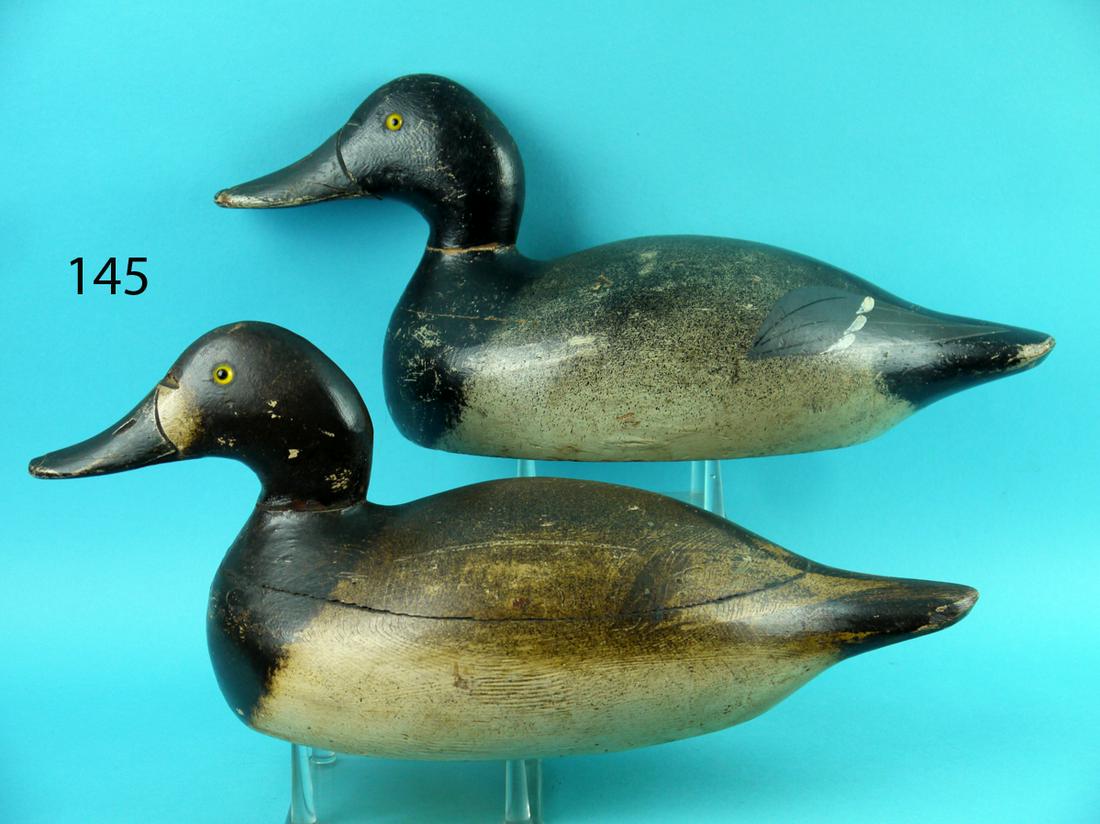 BLUEBILL PAIR, EVANS DECOY FACTORY (1 of 5)