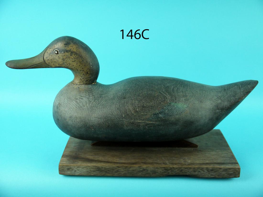 BLACK DUCK, MASON (1 of 4)