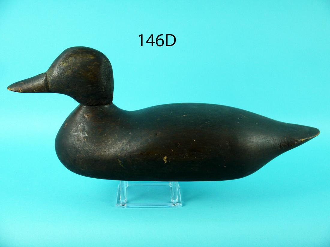 FACTORY BLACK DUCK (1 of 4)