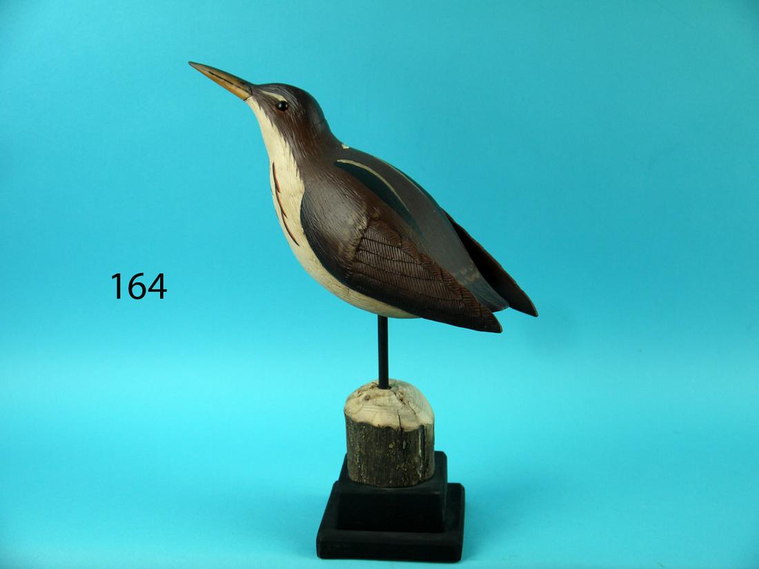 LEAST BITTERN, L. REINERI (1 of 4)