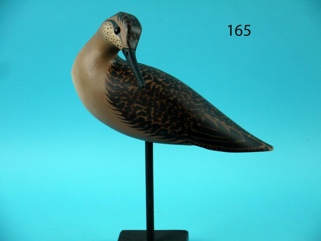 PREENING YELLOWLEG, L. REINERI (1 of 4)