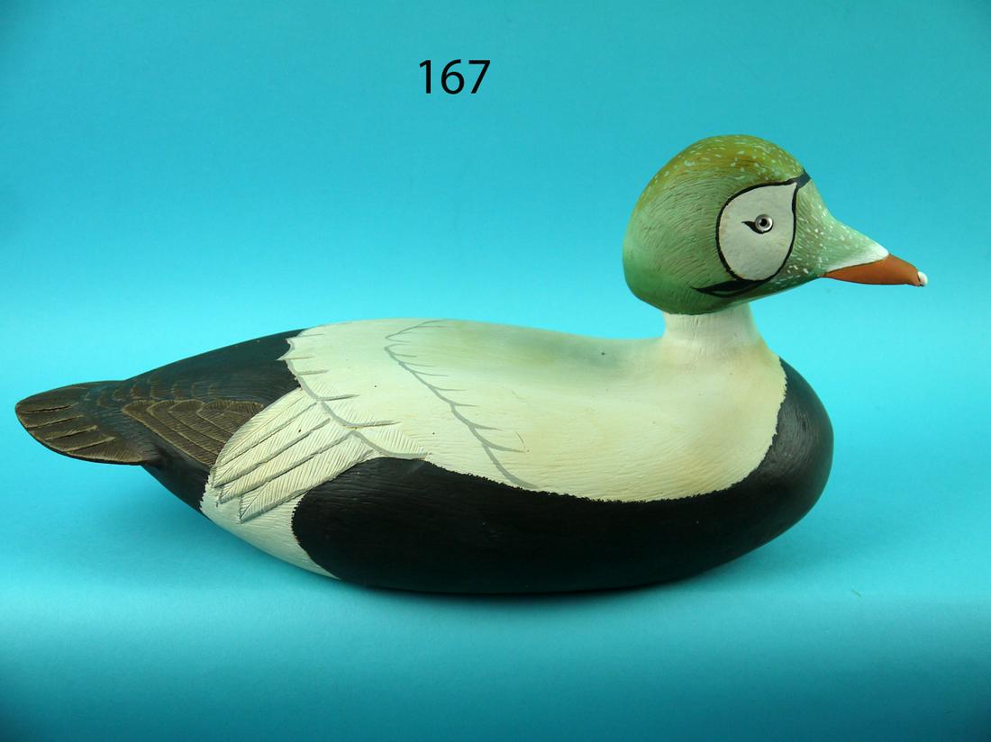 SPECTACLED EIDER DRAKE, L. REINERI (1 of 4)