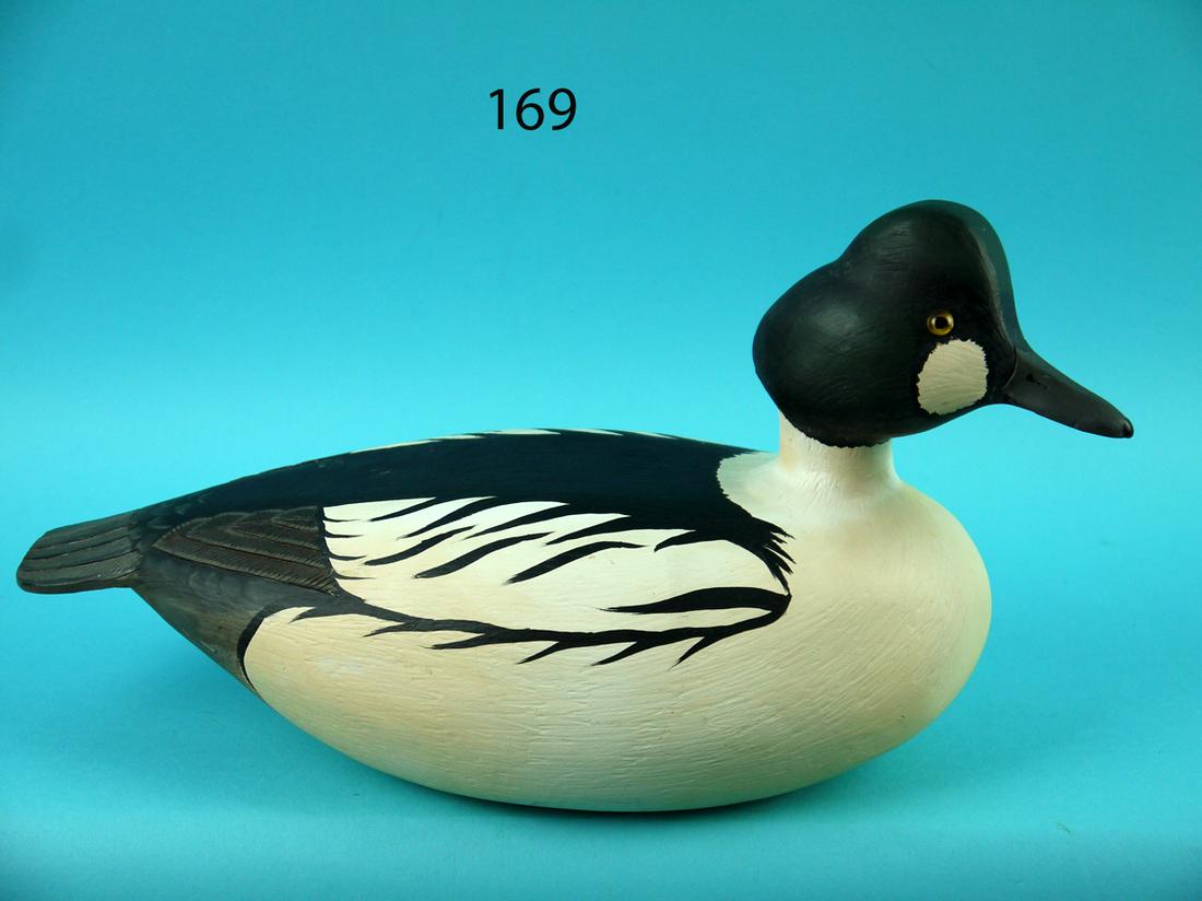 GOLDENEYE DRAKE, L. REINERI (1 of 4)