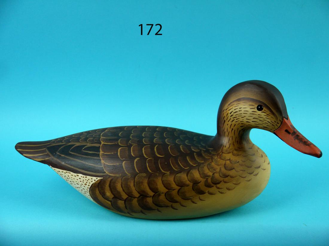 MALLARD HEN, L. REINERI (1 of 4)