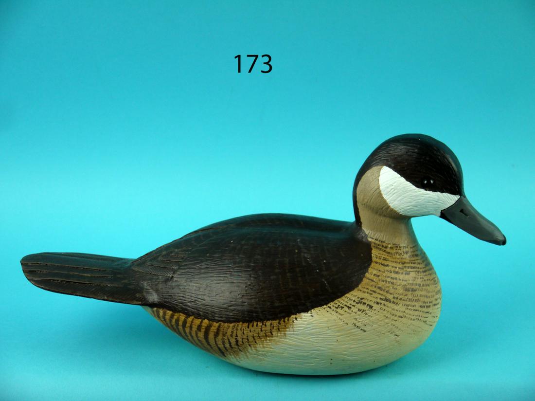 RUDDY DUCK, L. REINERI (1 of 4)