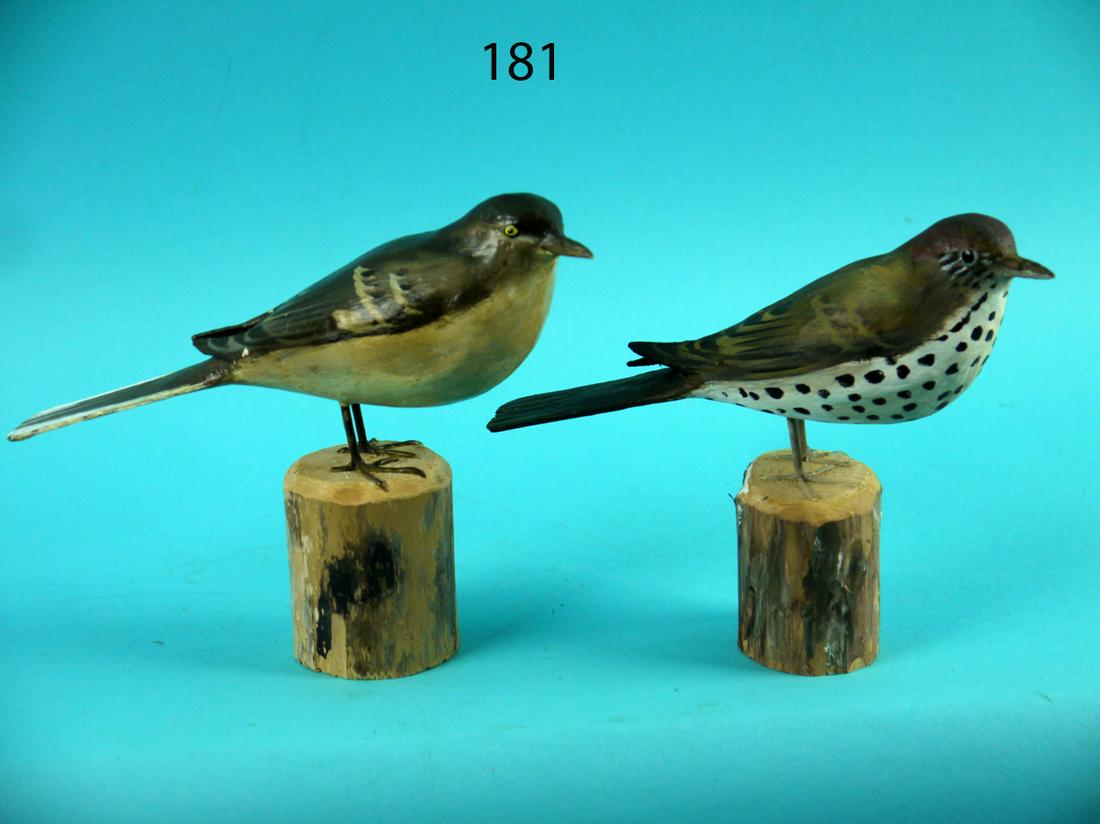 MOCKING BIRD/WOOD THRUSH,  P. PELTZ (1 of 4)