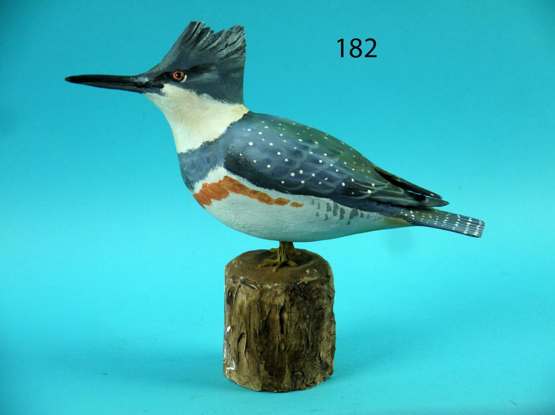 BELTED KINGFISHER, P. PELTZ (1 of 4)