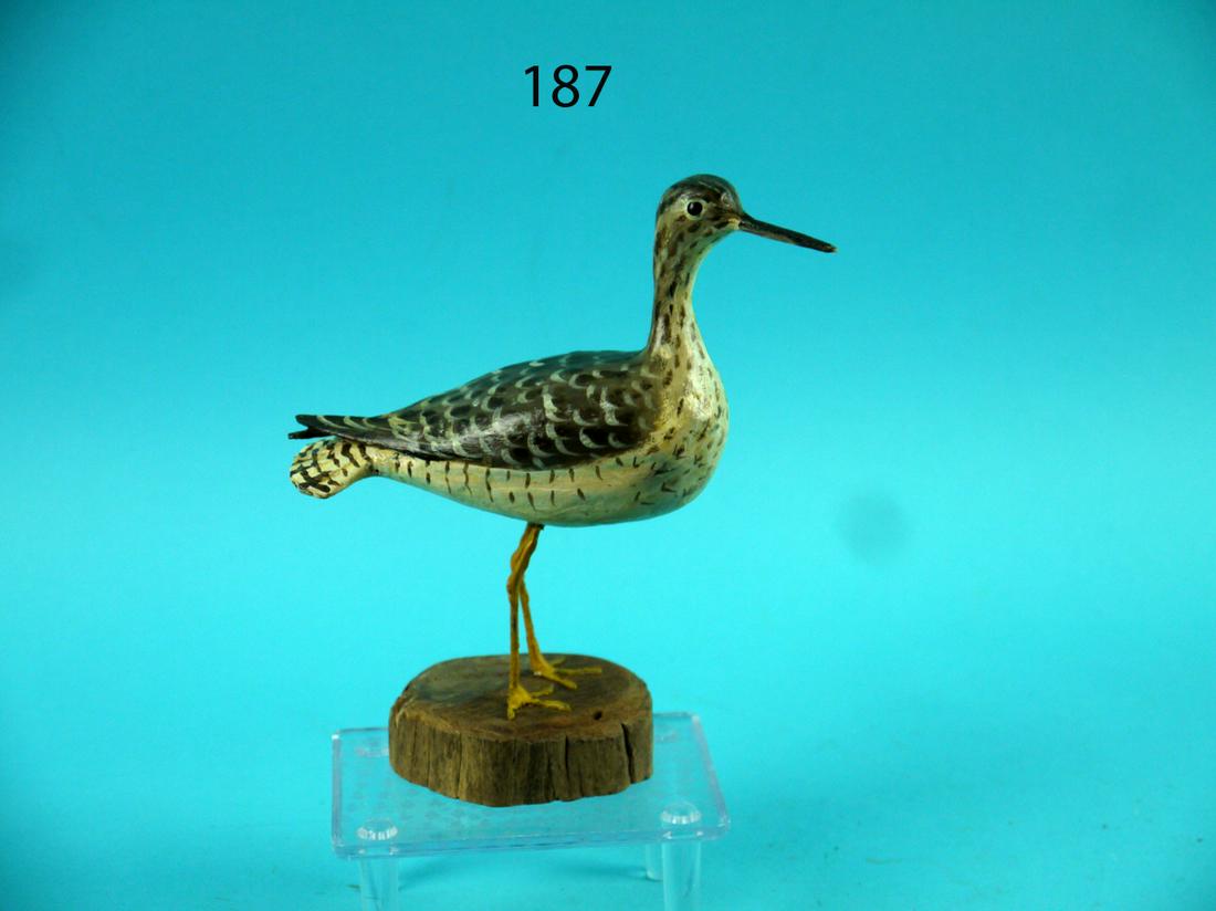 MINIATURE GREATER YELLOWLEG, P. PELTZ (1 of 4)