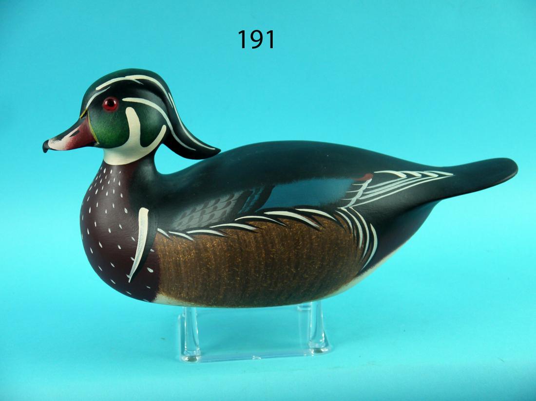 WOOD DUCK DRAKE, C. ORTLEY (1 of 4)
