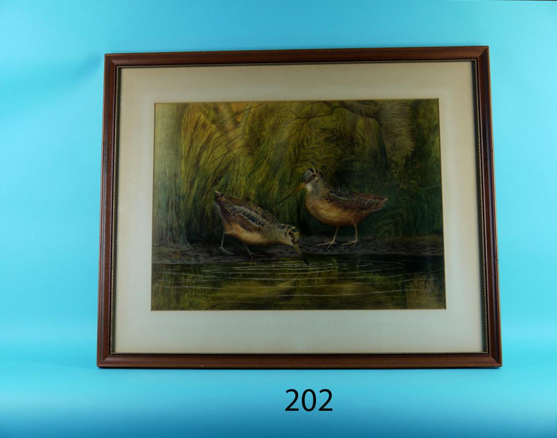 GICLEE PRINT, TWO WOODCOCK, G.R. HARDENBERGH (1 of 1)