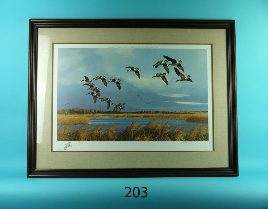 PRINT, "INTO THE SHALLOWS - CANADA GEESE, D. MAASS (1 of 1)