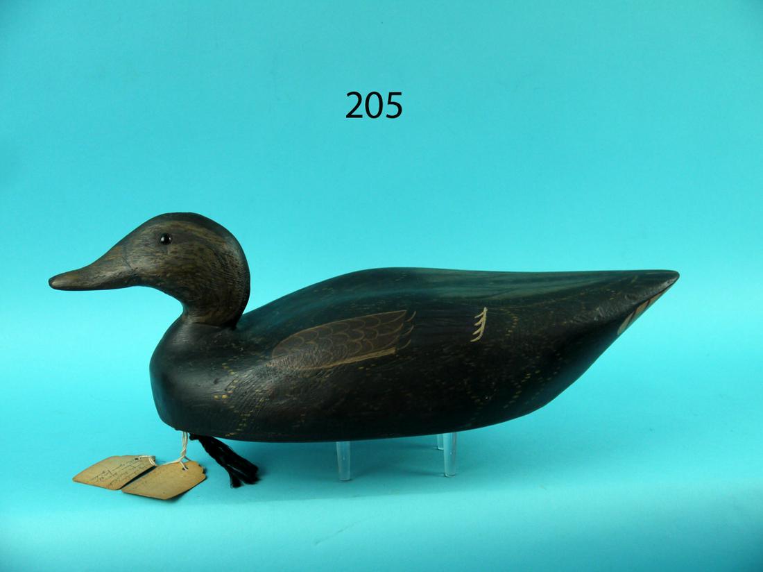 EARLY BLACK DUCK,  CONNECTICUT (1 of 4)