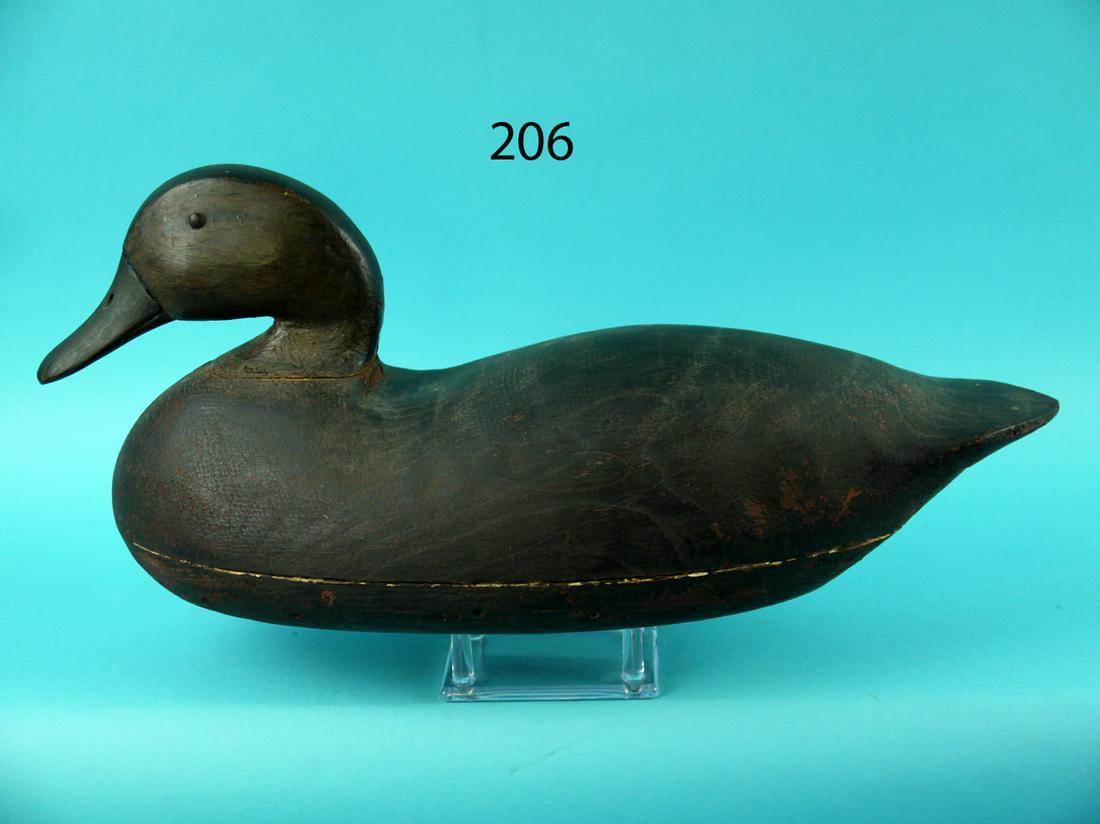 EARLY BLACK DUCK, LOWER DELAWARE RIVER (1 of 4)