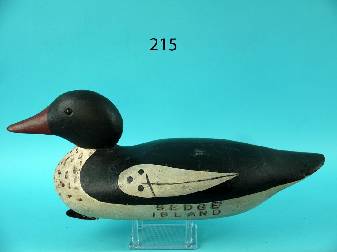 RED-BREAST MERGANSER DRAKE, SEDGE ISLAND (1 of 4)