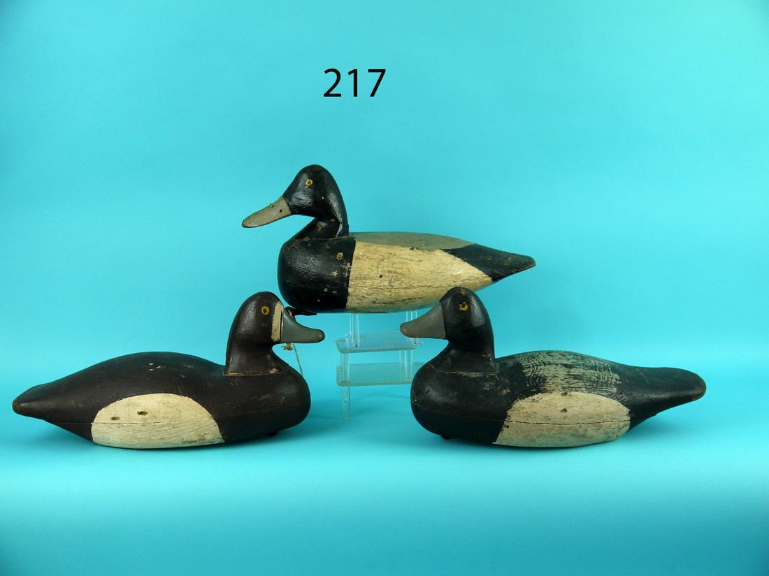 BROADBILL DRAKE AND BROADBILL PAIR, NEW JERSEY (1 of 4)