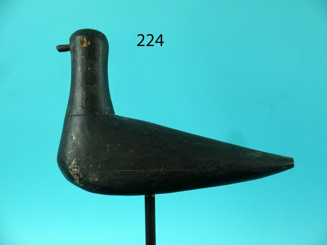 EARLY SHOREBIRD (1 of 4)