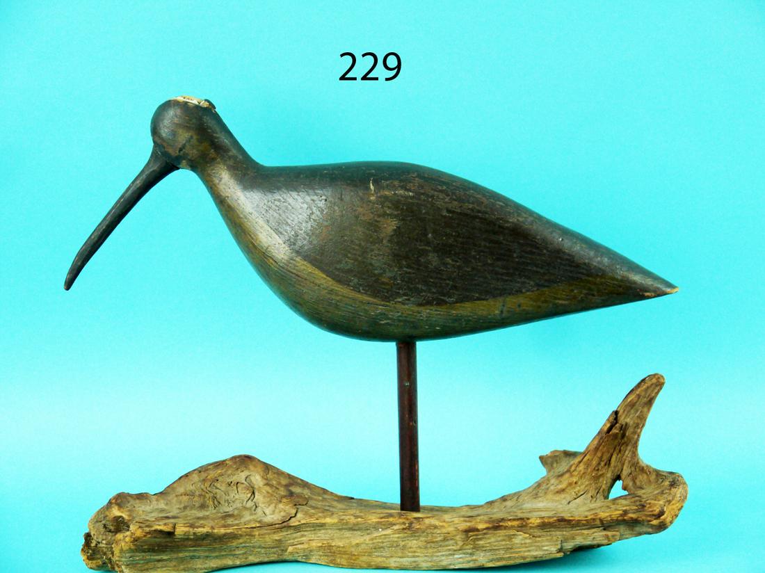 EARLY SHOREBIRD, VIRGINIA (1 of 4)