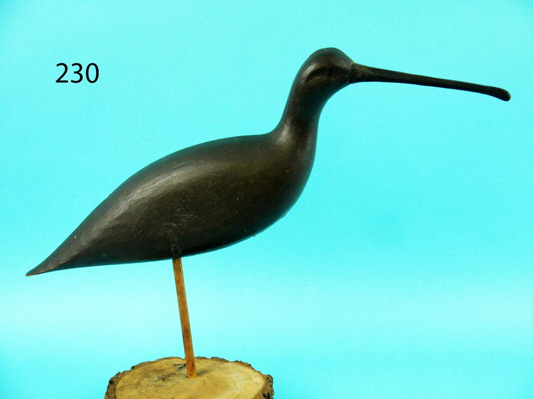 HUDSONIAN CURLEW, TUCKERTON (1 of 4)