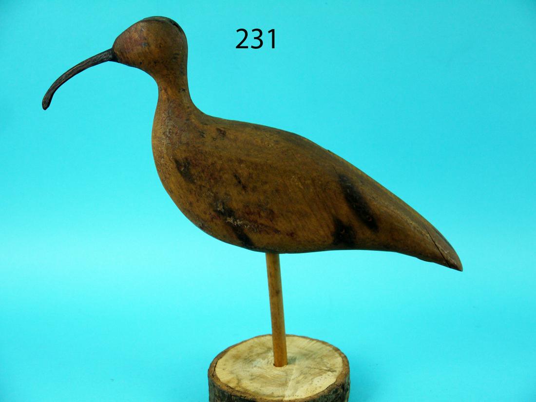 EARLY ESKIMO CURLEW, CAPE CHARLES, VA (1 of 4)