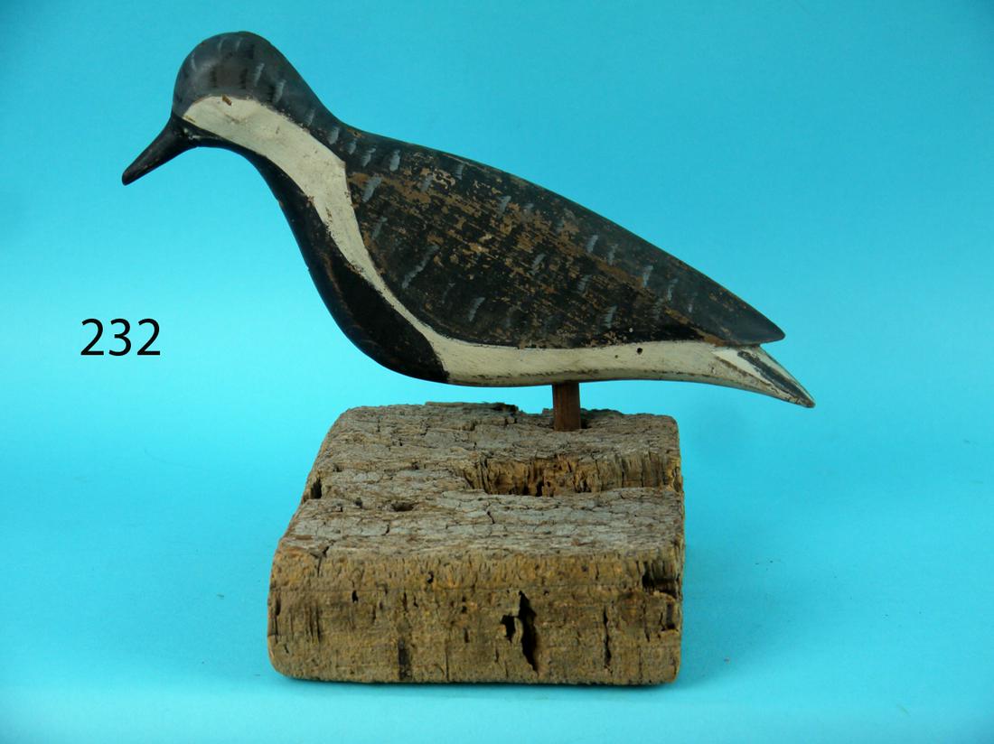 FLATTY PLOVER, VIRGINIA (1 of 4)