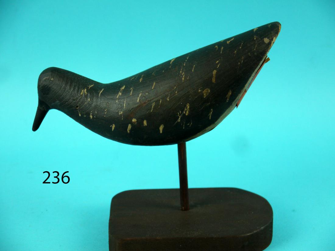 EARLY GOLDEN PLOVER, NEW ENGLAND (1 of 4)