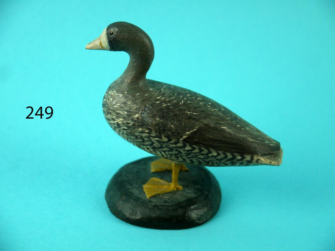 MINIATURE GREATER WHITE-FRONTED GOOSE, T. WILSON (1 of 4)